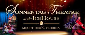 Icehouse Theatre, The